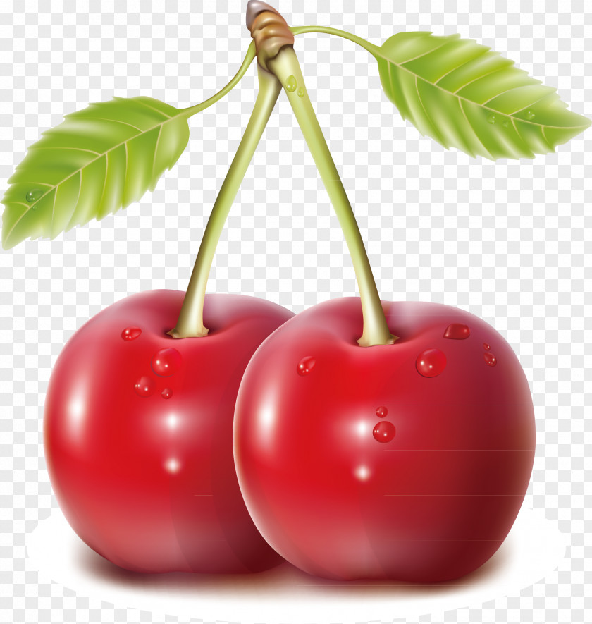 Cherry Decoration Vector Blueberry Fruit PNG