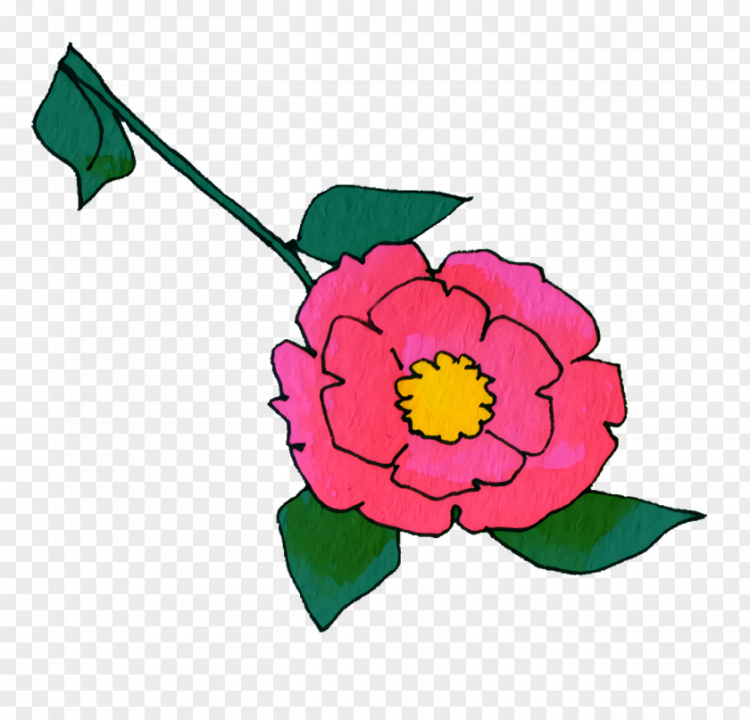 Floral Design PNG