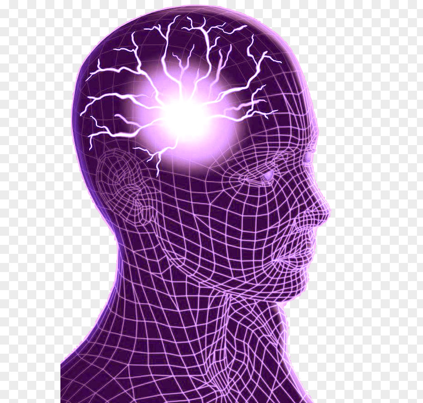 FOCUS Epilepsy Epileptic Seizure Brain Reflex Types PNG