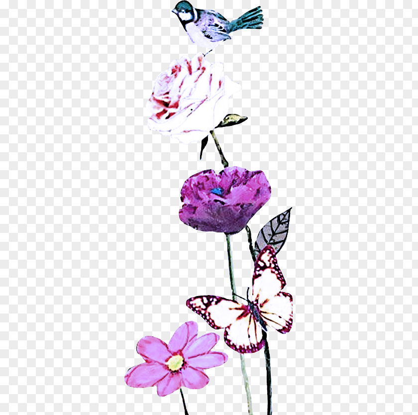 Moths And Butterflies Cut Flowers Flower Purple Pink Butterfly Violet PNG