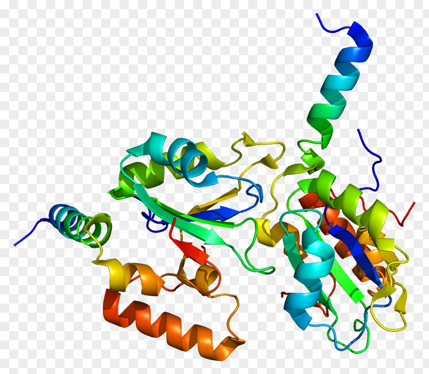RNA Splicing Gene SF3B1 Protein Spliceosome PNG