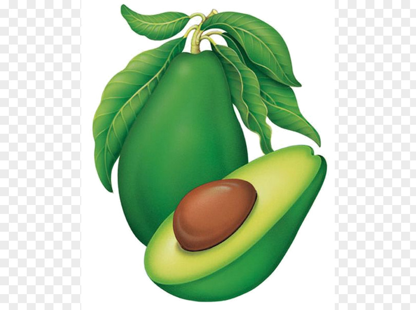 Avocado Diet Food Superfood Vegetable PNG