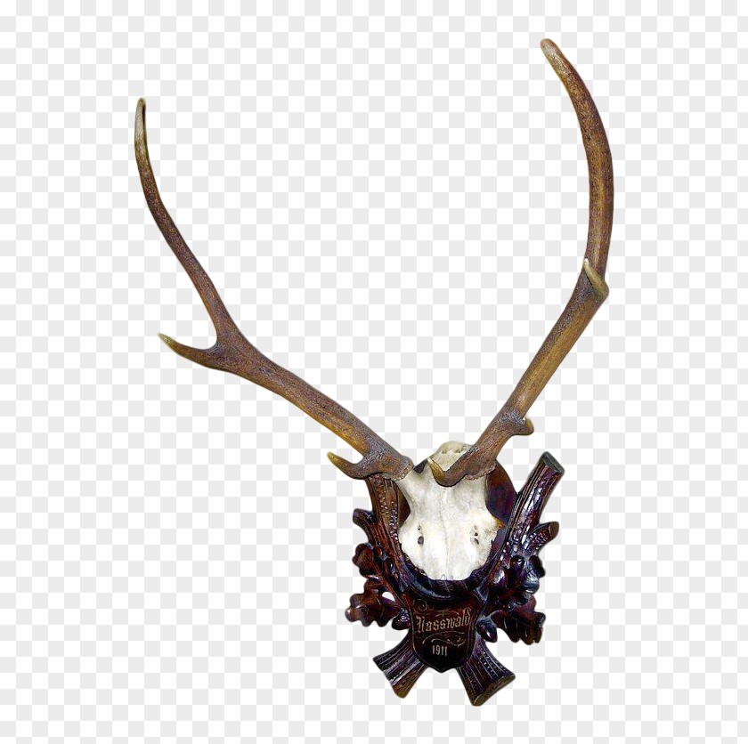 Deer Antler Horn Trophy Hunting PNG