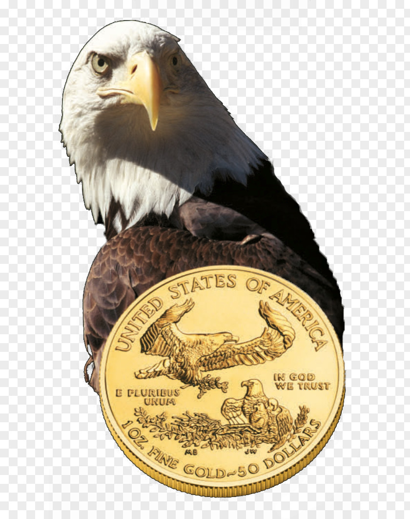 Gold Bald Eagle United States Mint Coin PNG