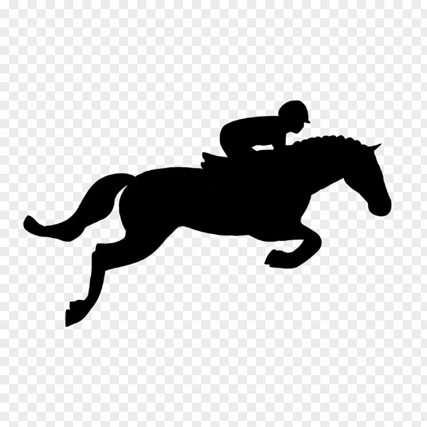 Horse Clip Art Show Jumping Equestrian PNG