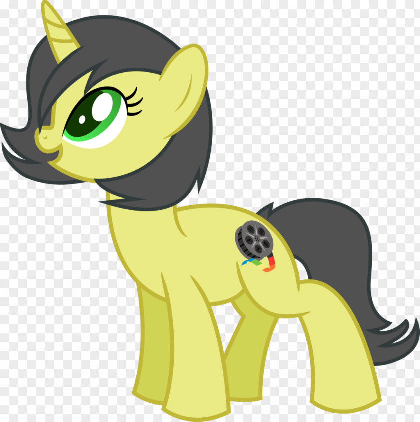Kitten My Little Pony: Equestria Girls Flash Sentry Whiskers PNG