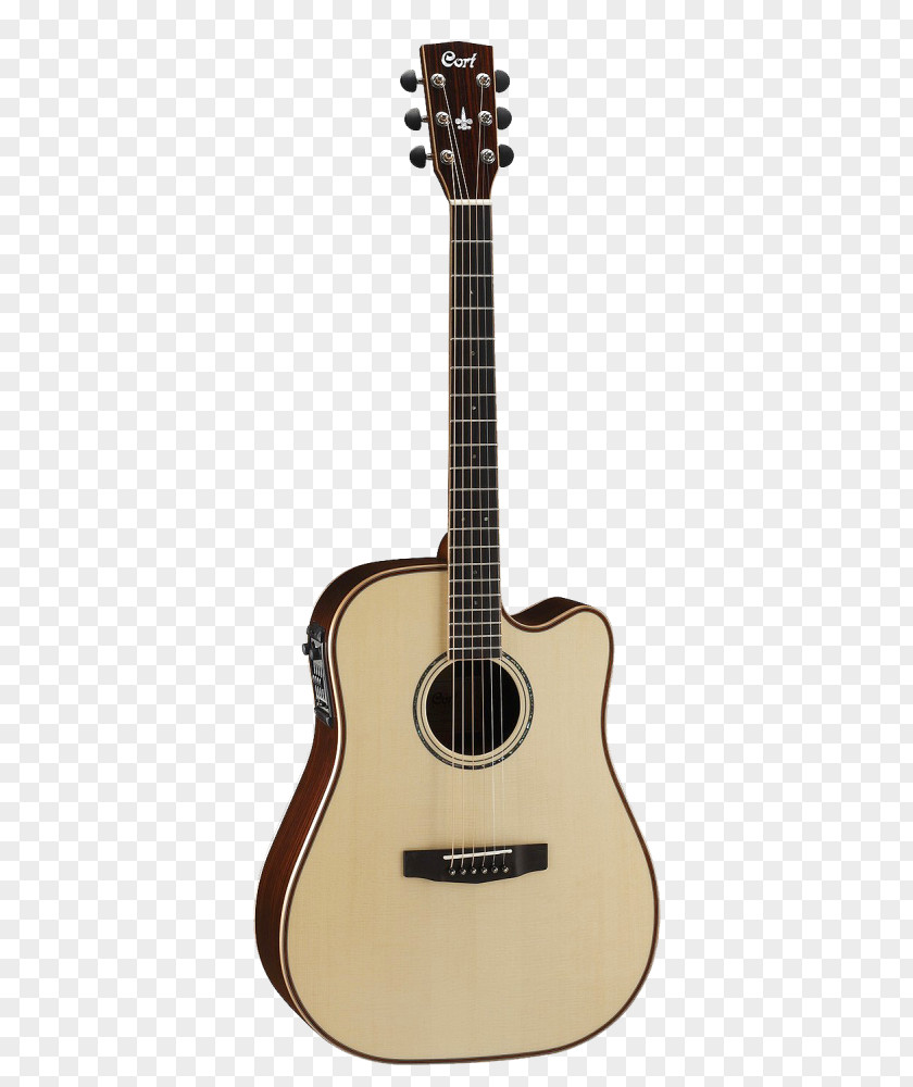 Acoustic Guitar Maton Steel-string Electric PNG