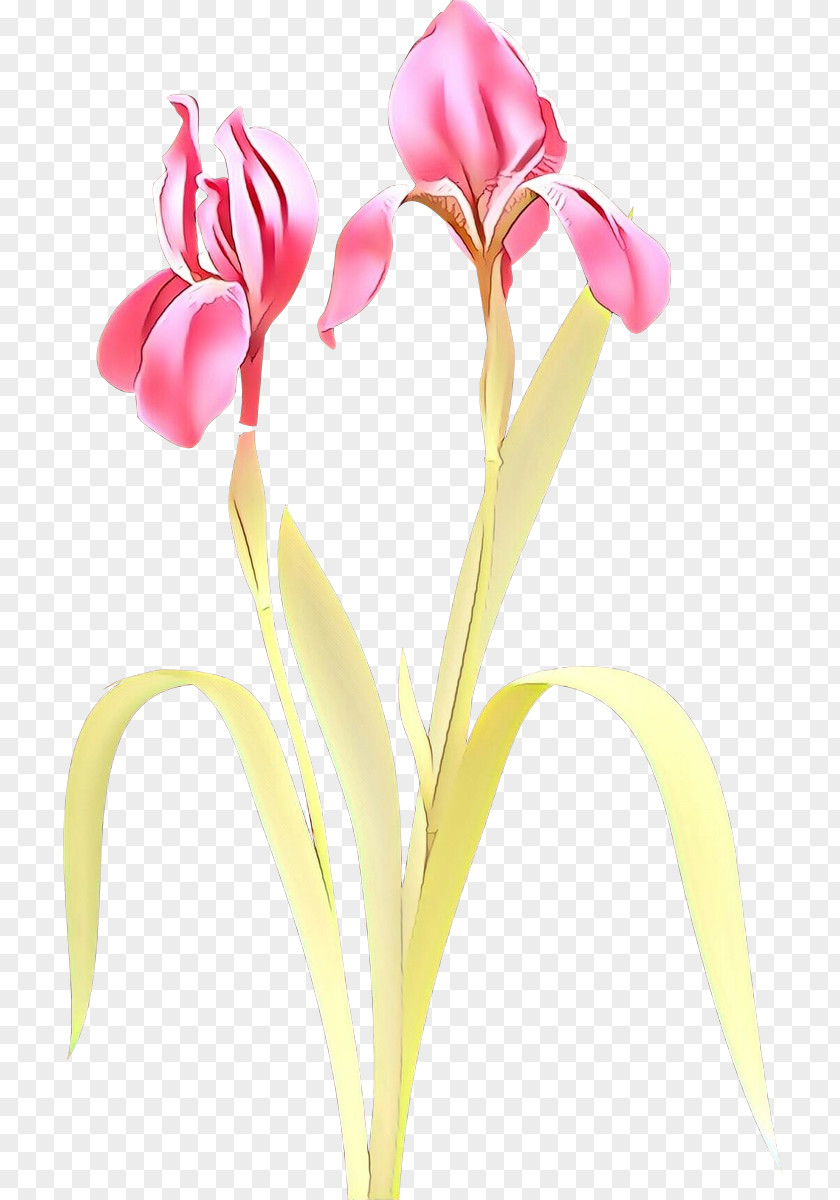 Artificial Flower PNG