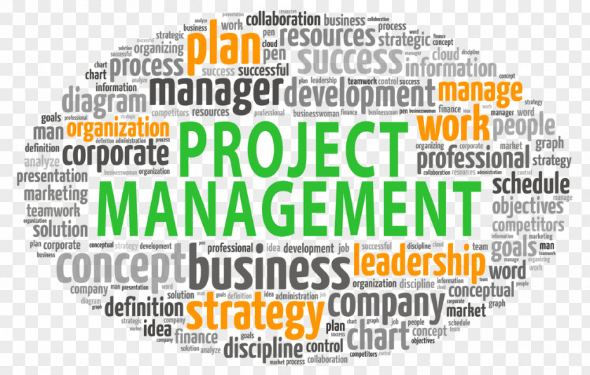 Business Project Management Office Manager PNG