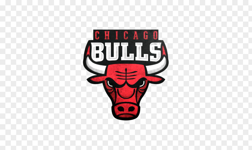 Cara Delevingne Chicago Bulls NBA Embroidered Patch Sport Logo PNG