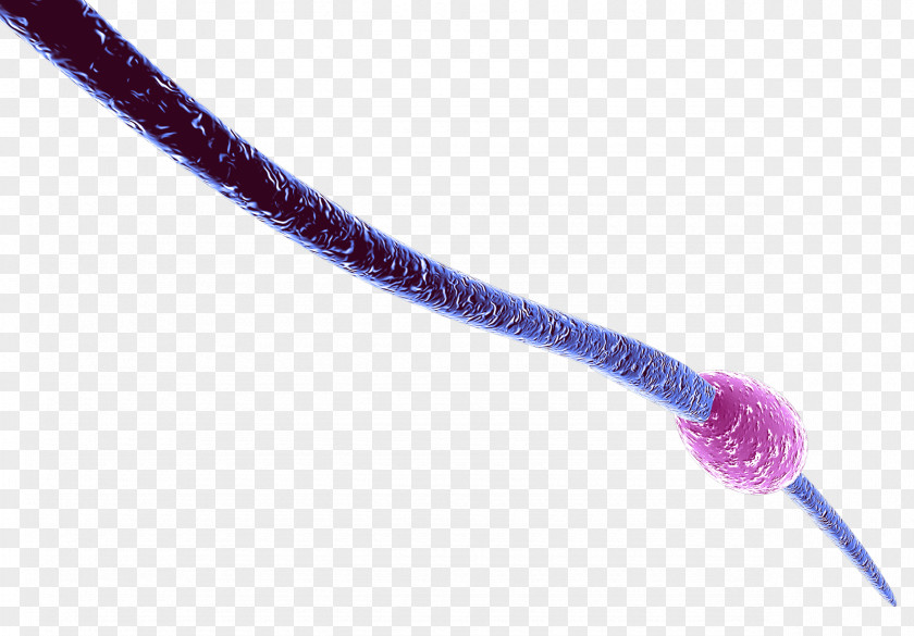 Foot Bacterial Virus Knot PNG