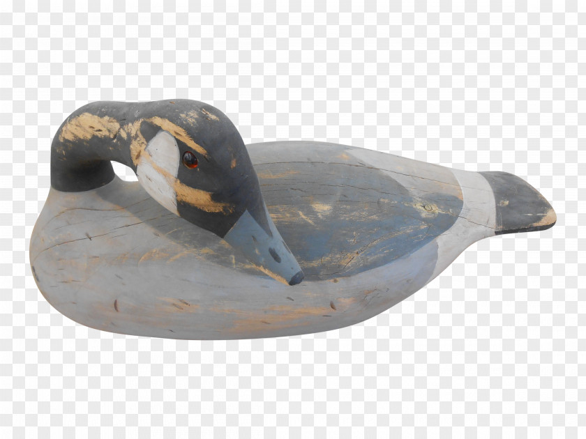 Goose Duck Beak PNG