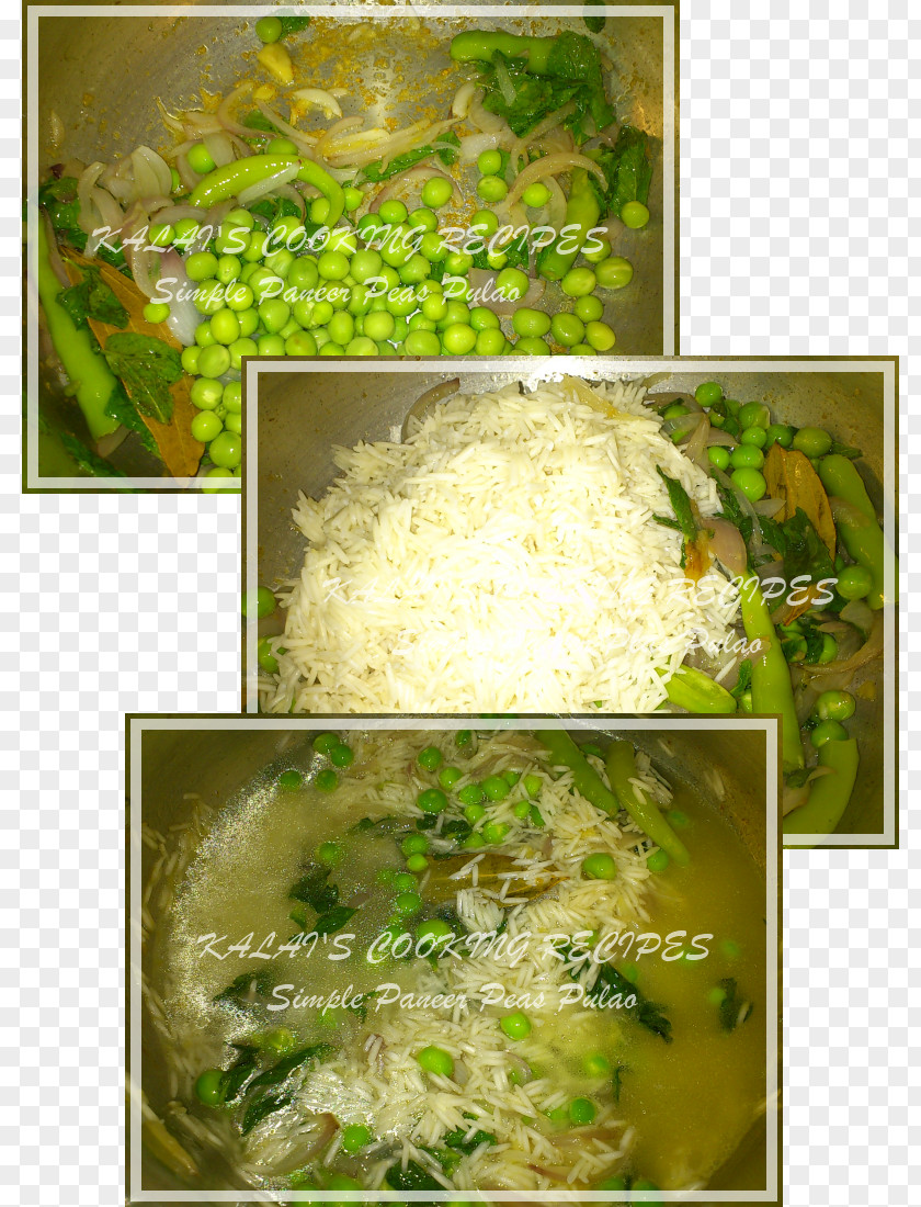 Paneer Vegetarian Cuisine Leaf Vegetable 09759 Recipe Food PNG