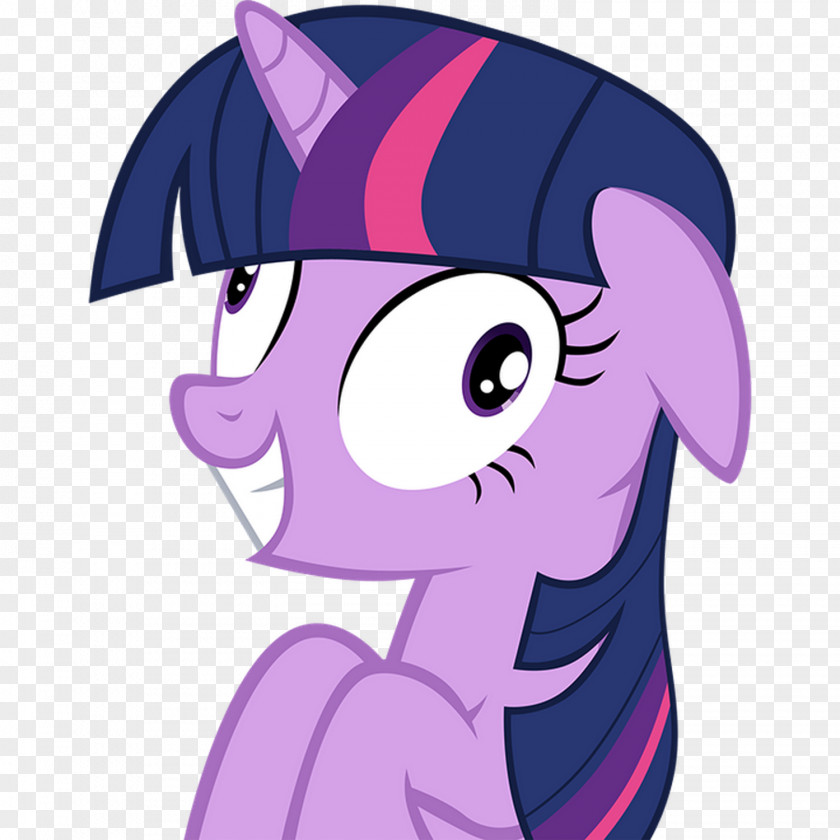 Sparkle Twilight Pinkie Pie Rarity Applejack Rainbow Dash PNG