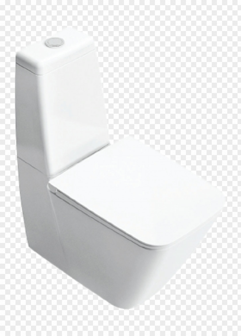 Toilet & Bidet Seats Flush Squat Roca PNG