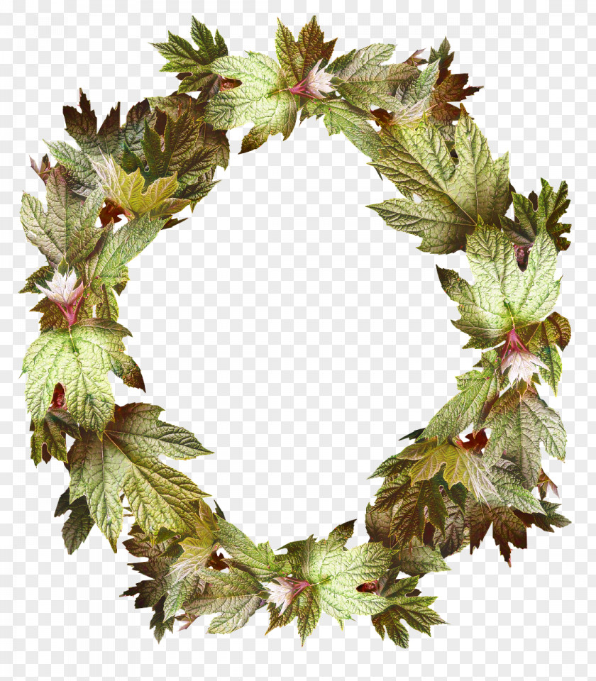 Wreath Picture Frames Image Decorative Arts Floral Design PNG