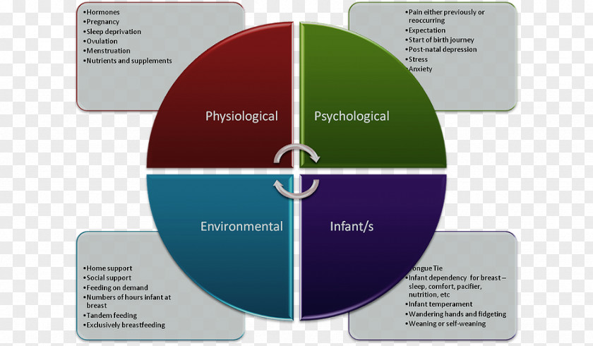 Business Pedagogy Model Learning Organization PNG