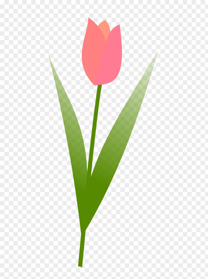 Georgia Bulldogs Clipart Tulip Free Content Flower Clip Art PNG