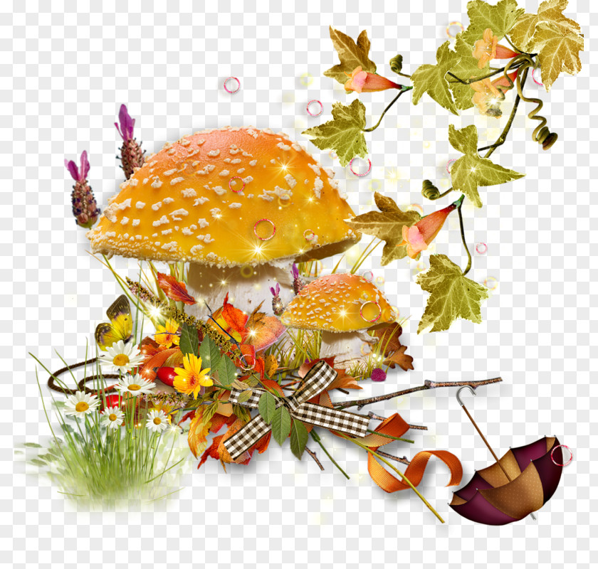 Mushroom Fungus Clip Art PNG