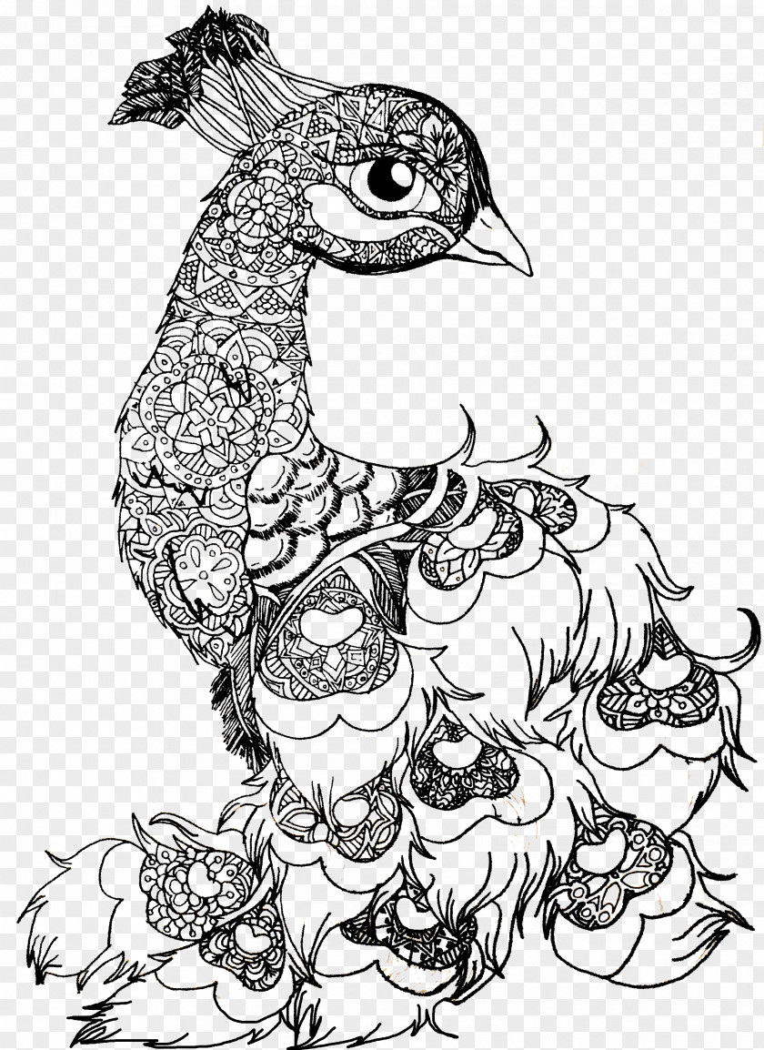 Peacock Drawing Visual Arts PNG