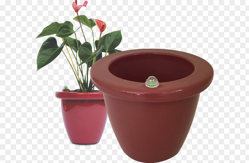 Plant Flowerpot Houseplant Treatment Of Cancer Ceramic PNG