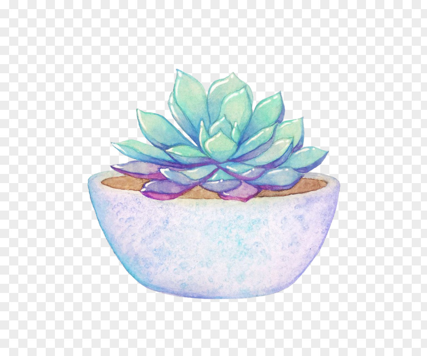 Watercolor Painting Cactaceae Plant Idea PNG