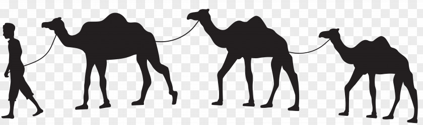 Camel Caravan Silhouette Clip Art Train PNG