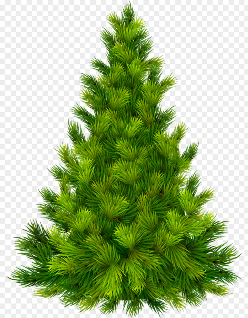Christmas Tree And Holiday Season Eve Clip Art PNG