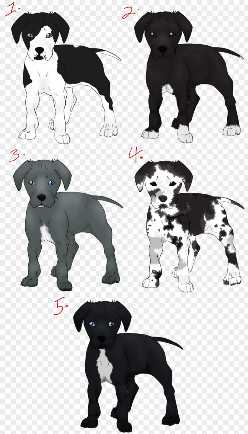 Puppy Great Dane Dog Breed Non-sporting Group White PNG