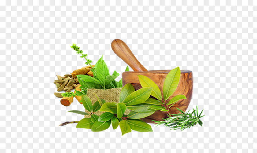 Health Ayurveda: Die Besten Tipps Aus Dem Jahrtausendealten Naturheilsystem Des Maharishi Ayurveda Medicine Ayurvedic Healing Panchakarma PNG