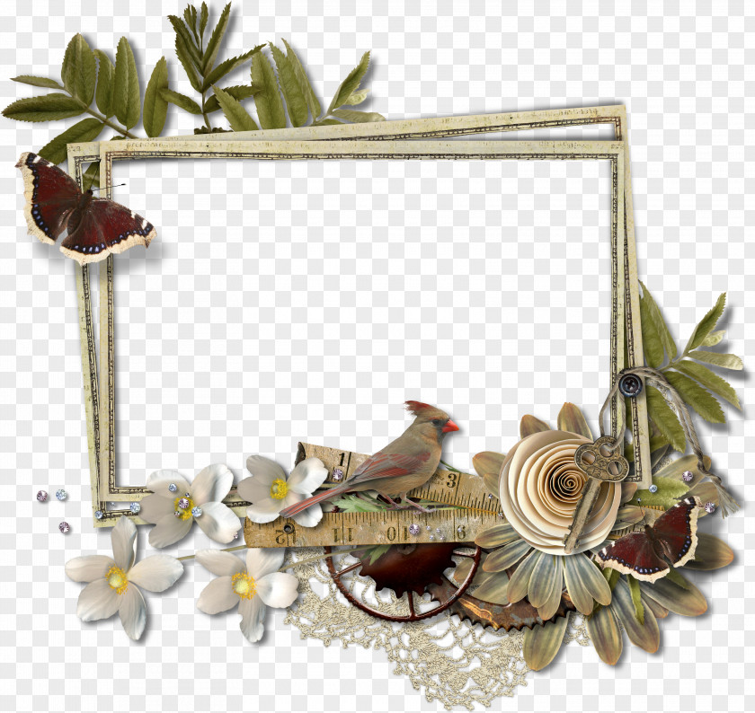 Leaf Frame Picture Frames Bird Clip Art PNG