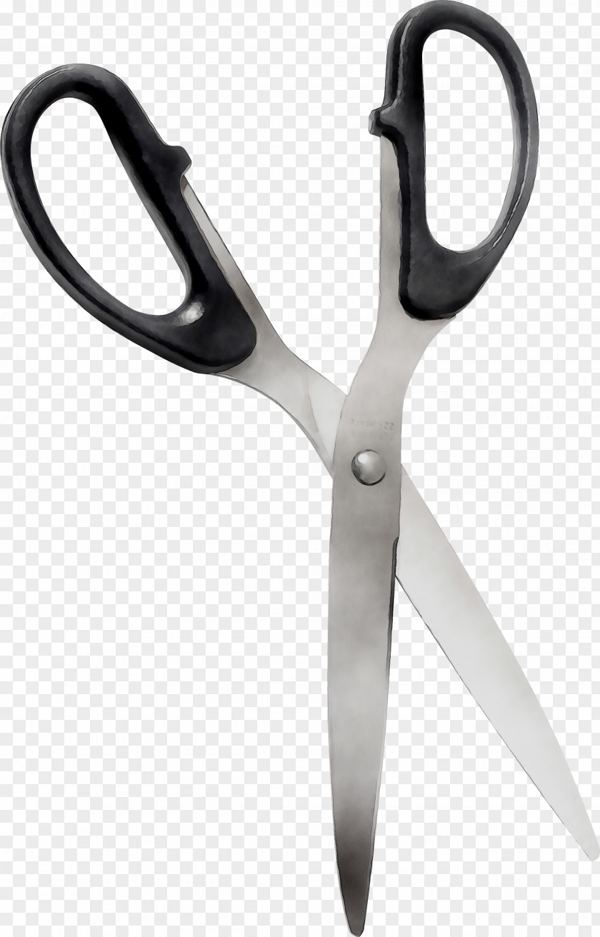 Scissors Hair Product Design PNG