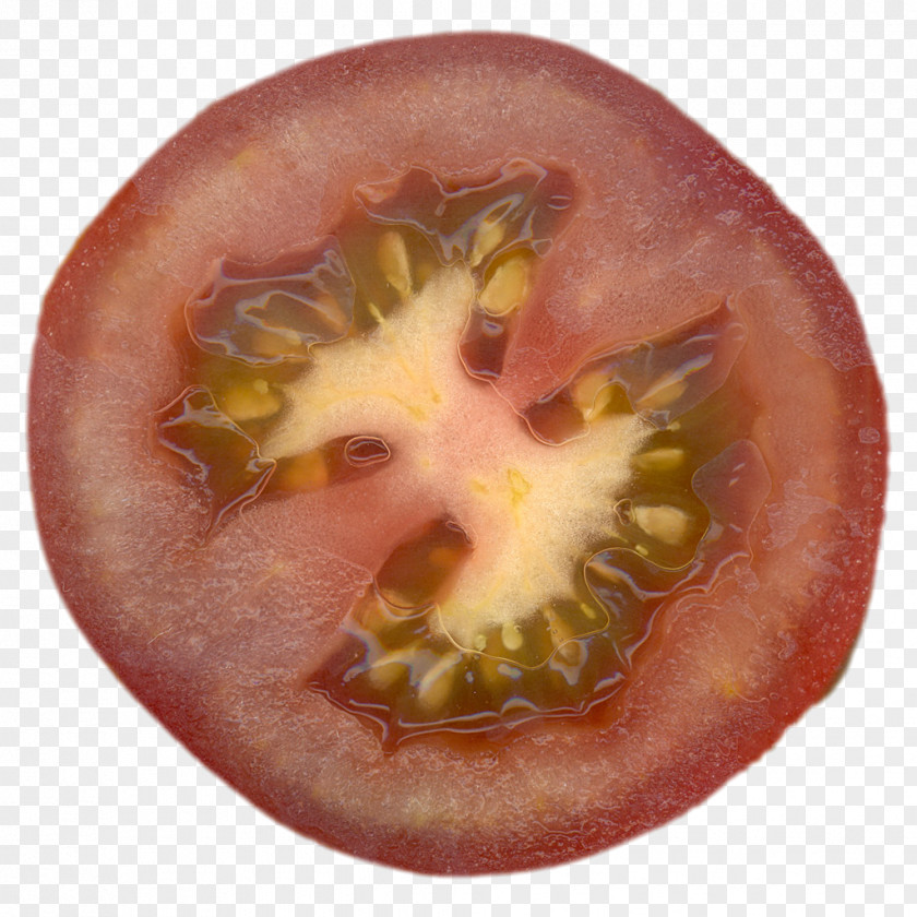 Tomato Fruit Food Vegetable Photography PNG