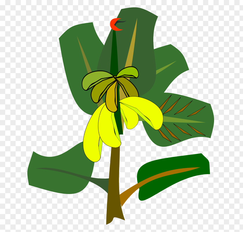 Banana Tree Clip Art PNG