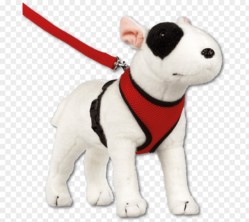 Cat Bull Terrier Harnais Dog Breed Leash Snout PNG