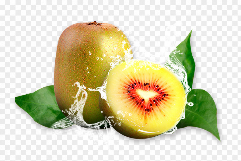 Kiwi Kiwifruit Mei County Zhouzhi Food Red PNG