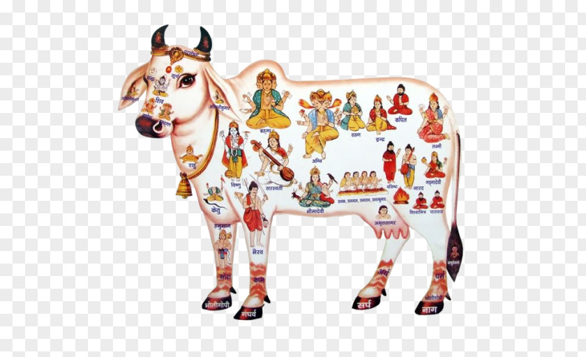 Krishna Cattle In Religion And Mythology India Kamadhenu PNG