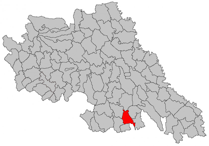 Map Probota Pașcani Deleni, Iași Judecător Sindic PNG