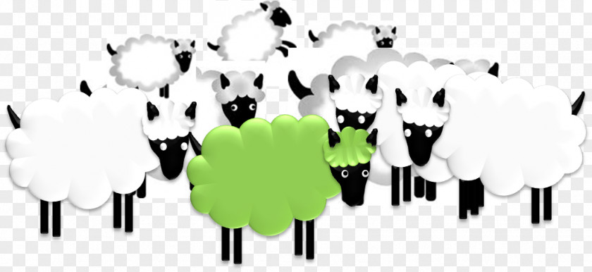 Pictures Of Sheeps Counting Sheep Grazing Clip Art PNG