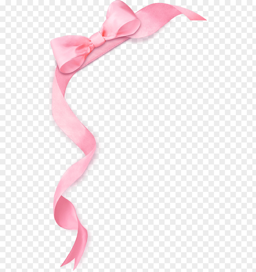 Ribbon Pink Gift Shoelace Knot PNG