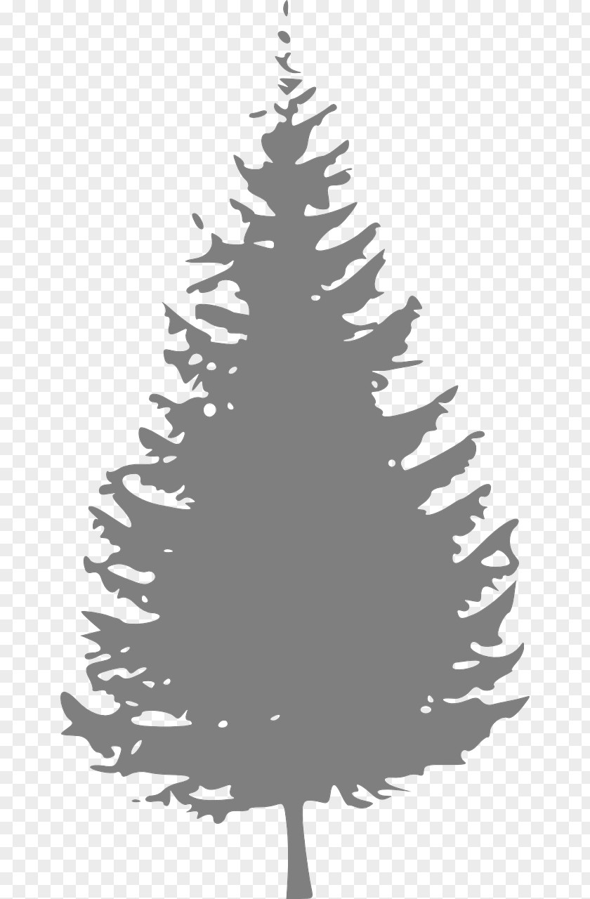 Watercolor Christmas Tree Blue Pine Fir Clip Art PNG