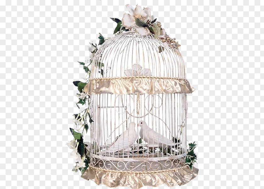 Bird Birdcage Centrepiece Wedding PNG