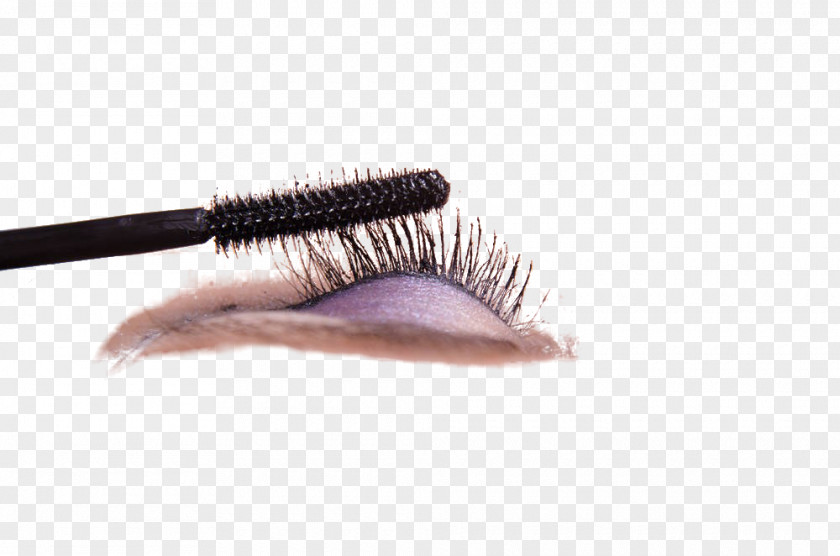 Eyelashes Eyelash Make-up Cosmetics PNG
