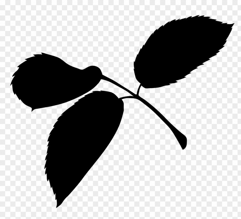 Plant Stem Clip Art Leaf Flower Silhouette PNG