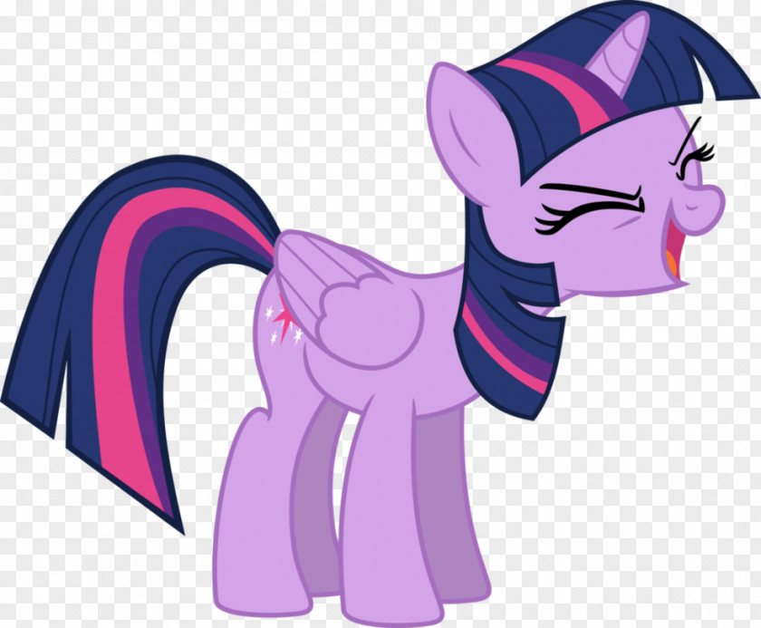 Sparkle Vector Twilight Pinkie Pie Rainbow Dash Rarity Princess Celestia PNG
