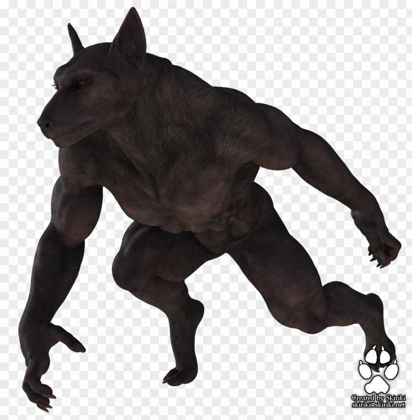 Werewolf Gray Wolf DAS Productions Inc Lycaon PNG
