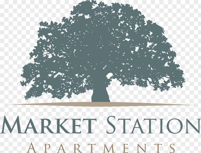 Abstract Tree Oakleaf Auto Inc Cayuga Junction House Market Station Apartments Hartford PNG
