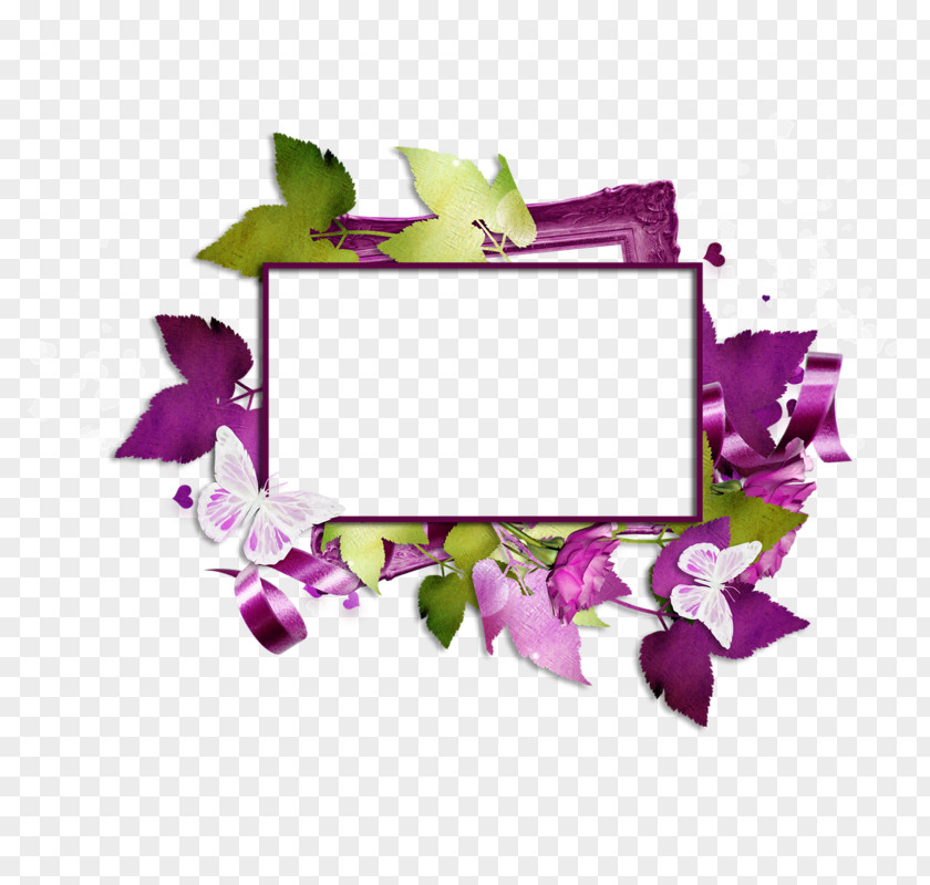 Blog Picture Frames Just Like Fire 0 PNG