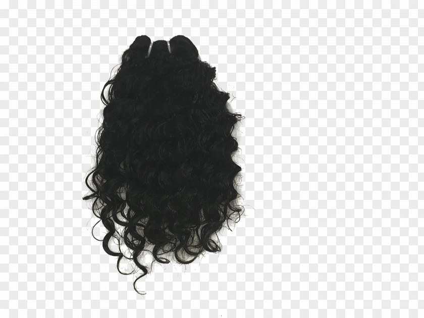 Hair Curls India Adored Virgin Company LLC. Wig Color PNG