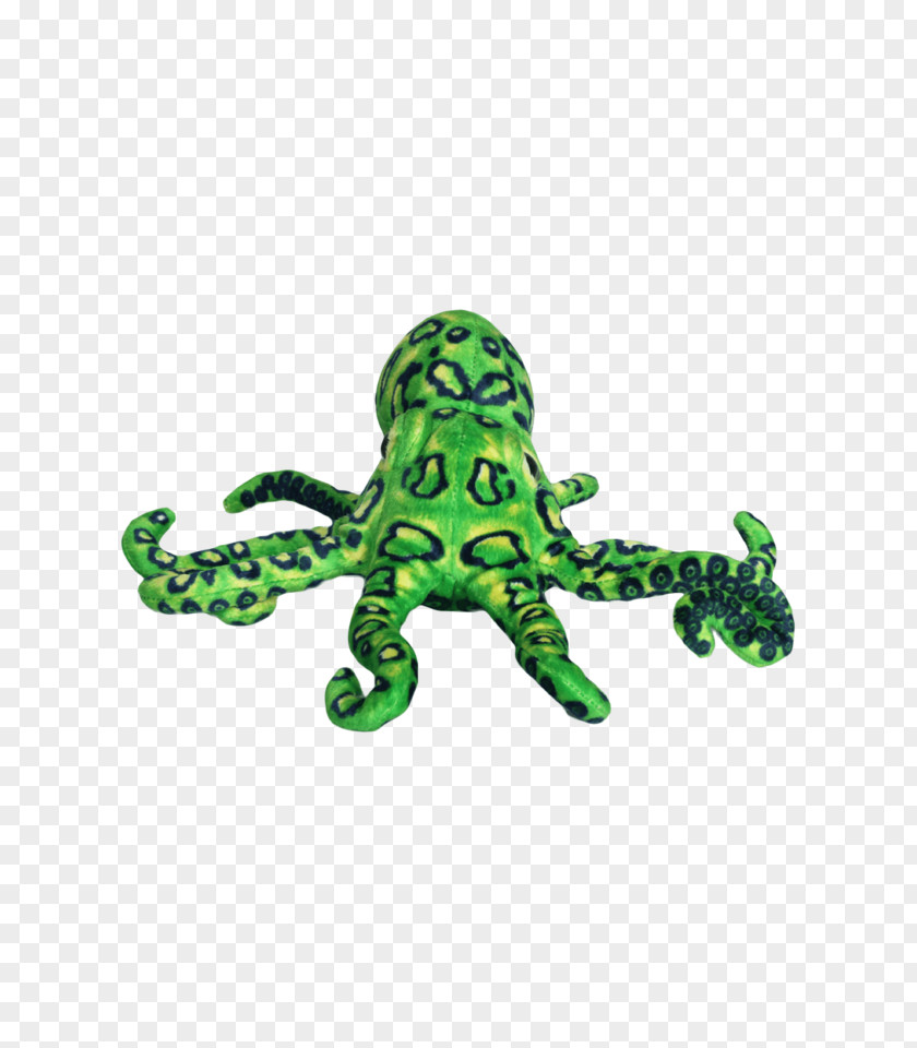 Octopus Reptile Animal PNG